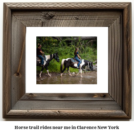 horse trail rides near me in Clarence, New York